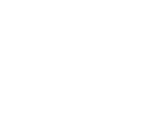Never Land Logo